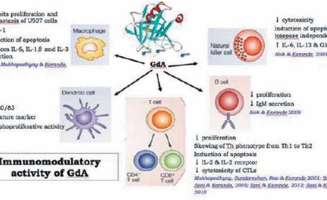 Establishing virus entry inhibitors